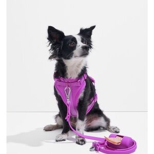 $72 WILD ONE Harness Leash Set Size SMALL